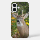 Suche nach geweihe iphone hüllen Jäger