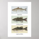 Suche nach große öffnung poster Baß