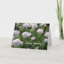 Suche nach herzlichen glückwunsch zum geburtstag karten Lila