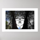 Suche nach zweigen poster Baum