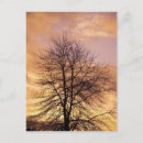 Suche nach rosa baum postkarten Natur