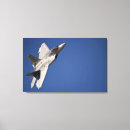 Suche nach raubvogel kunst Kampfflugzeuge