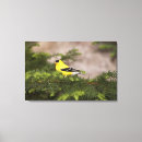 Suche nach brust leinwandbilder Tier