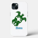 Suche nach honu Hawaii