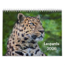 Suche nach leoparden kalender Schnee
