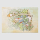 Suche nach karotten seidenpapier Kaninchen