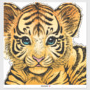 Suche nach kleiner tiger aufkleber Katze