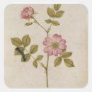 Suche nach raupe aufkleber Blume