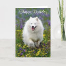 Suche nach eskimo karten Welpe