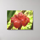 Suche nach flower leinwandbilder Natur
