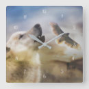 Suche nach schwanz wanduhren Wild lebende tiere