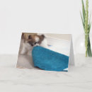 Suche nach das haus von karten Bewegen