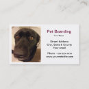 Suche nach boarding visitenkarten Hunde