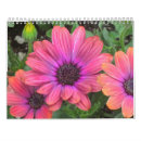 Suche nach mohnblume kalender Hibiskus
