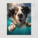 Suche nach unterwasser postkarten Tierliebhaber