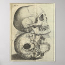 Suche nach vintage skull kunst poster Knochen
