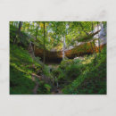 Suche nach höhlen postkarten Wald