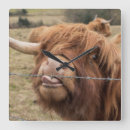 Suche nach rinde wanduhren Tiere