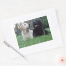 Suche nach labrador retriever aufkleber Retriefe