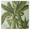 Suche nach banane fliesen Botanisch