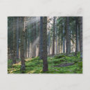 Suche nach schwarzwald postkarten Titisee neustadt