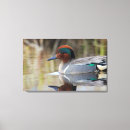 Suche nach sumpf leinwandbilder Grenze danita