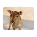 Suche nach weißer hirsch magnete Rentiere