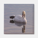 Suche nach schlüssel magnete Vogelvogel