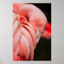 Suche nach nähen poster Rosa