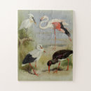 Suche nach vogel puzzle Natur