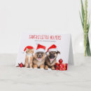 Suche nach helfer karten Hunde