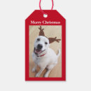 Suche nach geweihen geschenkanhänger Hund