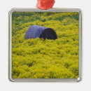 Suche nach baltischen ornamente Europa