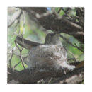 Suche nach nest fliesen Natur