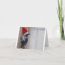 Suche nach corvid postkarten Bird