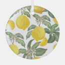 Suche nach zitrone ornamente Aquarell