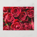 Suche nach print on demand postkarten Für sie