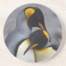 Suche nach penguin untersetzer Vogel