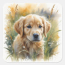 Suche nach golden retriever welpe aufkleber Süß