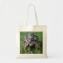 Suche nach schildkröte taschen Reptil