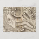 Suche nach geologie postkarten Graviert