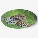 Suche nach jaguar teller Safari