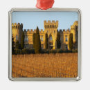 Suche nach rebe ornamente Weinberg