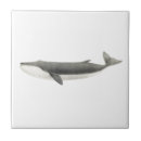 Suche nach wal fliesen Nautisch