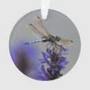 Suche nach libelle ornamente Natur