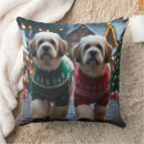Suche nach lhasa apso kissen Tier