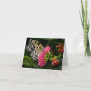 Suche nach tropischer schmetterling karten Foto