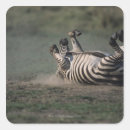 Suche nach mara aufkleber Natur