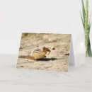 Suche nach chipmunks karten Eichhörnchen
