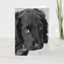 Suche nach trauriger welpe postkarten Weiß